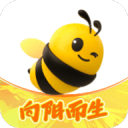 破案了！辽宁男篮6连胜原因曝光，乌戈盘活球队，郭艾伦伤情更新